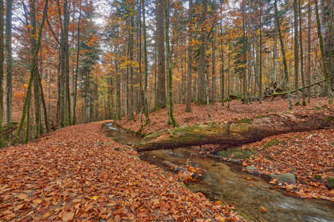 Gemeinde Bayerisch_Eisenstein Landkreis Regen Hans-Watzlik-Hain Kanal (Dirschl Johann) Deutschland REG